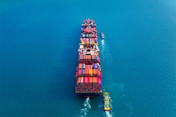 The Important Position of Ocean Freight Forwarder in International Trade