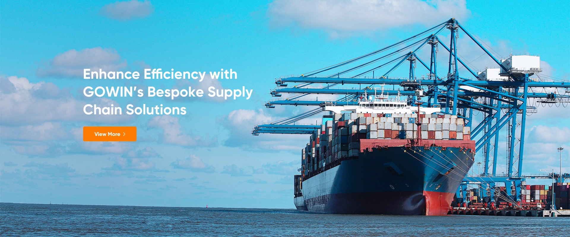 Enhance Efficiency with GOWIN's Bespoke Supply Chain Solutions